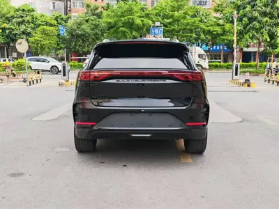 BYD Tang New Energy 2024, 27000 км, за 15714.82 USD - фото 8