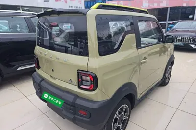 Geely Galaxy Panda 2025, 100 км, за 7676 USD - фото 6