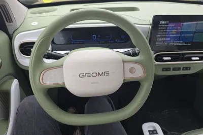 Geely Galaxy Panda 2025, 100 км, за 7676 USD - фото 18