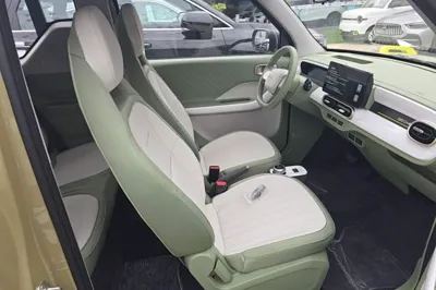 Geely Galaxy Panda 2025, 100 км, за 7676 USD - фото 24