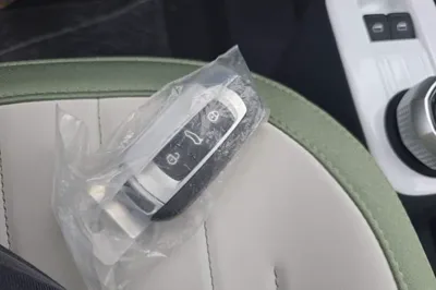 Geely Galaxy Panda 2025, 100 км, за 7676 USD - фото 28