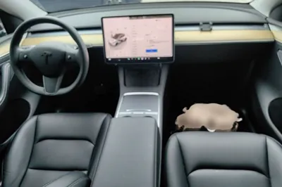 Tesla Model Y 2022, 108000 км, за 27146 USD - фото 19