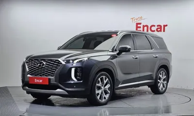 Hyundai Palisade · 2019 год