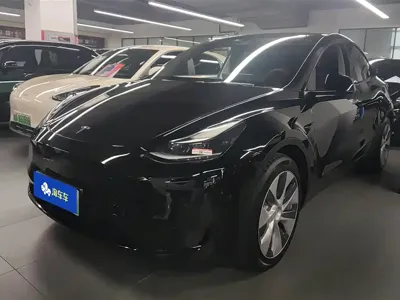 Tesla Model Y · 2022 год