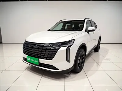Haval H6 · 2025 год