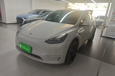 Tesla Model Y · 2024 год