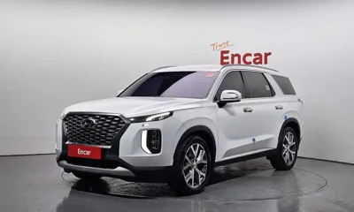 Hyundai Palisade · 2019 год