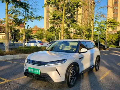 BYD Yuan Up · 2024 год