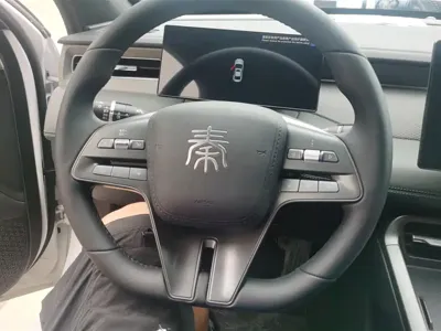 BYD Qin Plus 2025, 6100 км, за 10594.26 USD - фото 15