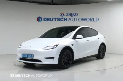 Tesla Model Y · 2024 год