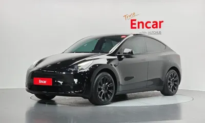 Tesla Model Y · 2023 год