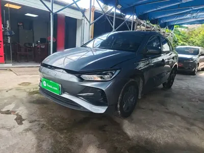 BYD e2 · 2024 год
