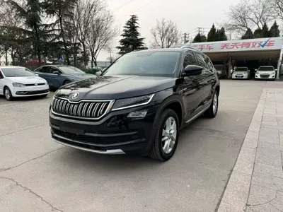 Skoda Kodiaq · 2020 год