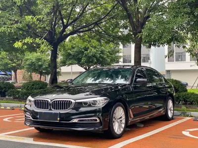BMW 5 Series · 2019 год