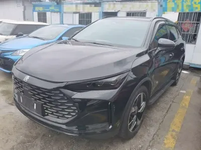 BYD Tang New Energy · 2024 год