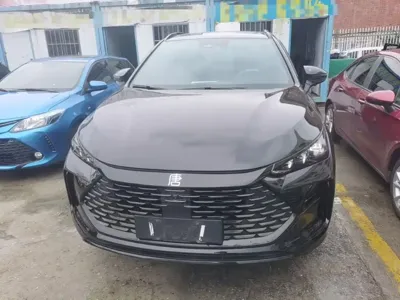 BYD Tang New Energy 2024, 32599 км, за 14630.97 USD