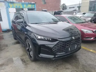 BYD Tang New Energy 2024, 32599 км, за 14630.97 USD