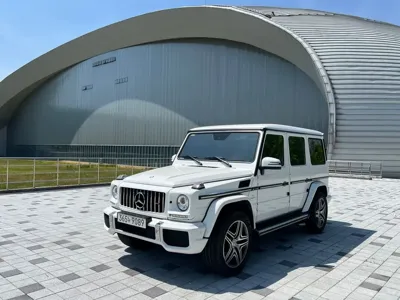 Mercedes-Benz G-Class · 2017 год