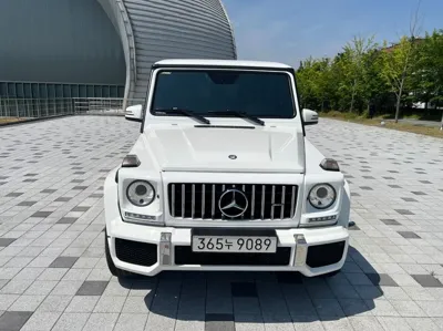 Mercedes-Benz G-Class 2017, 49669 км, за 64372.02 USD
