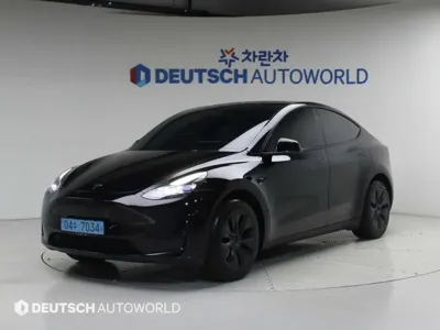 Tesla Model Y · 2024 год