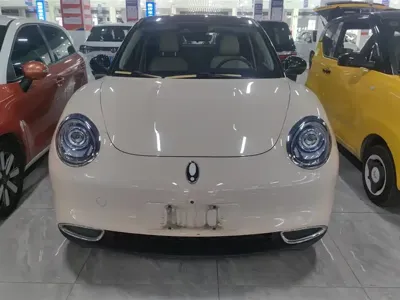 ORA Ora Good Cat 2021, 73600 км, за 8092.84 USD