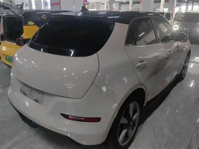 ORA Ora Good Cat 2021, 73600 км, за 8092.84 USD