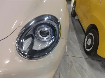 ORA Ora Good Cat 2021, 73600 км, за 8092.84 USD