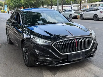 Hongqi Hongqi H5 · 2021 год