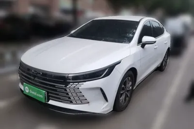 BYD Destroyer 05 · 2023 год