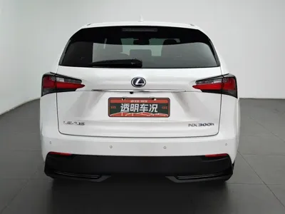 Lexus NX 2016, 142400 км, за 11652.21 USD