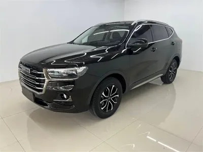 Haval H6 · 2022 год