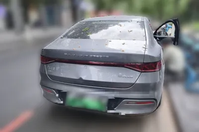 BYD Qin Plus 2024, 10000 км, за 9543 USD