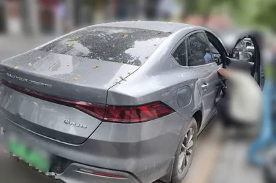BYD Qin Plus 2024, 10000 км, за 9543 USD