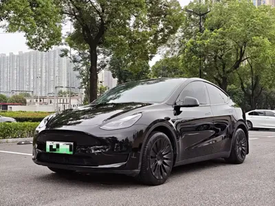 Tesla Model Y · 2022 год