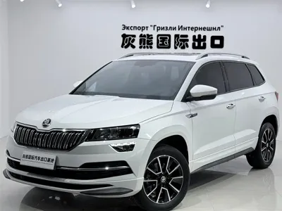 Skoda Karoq · 2023 год