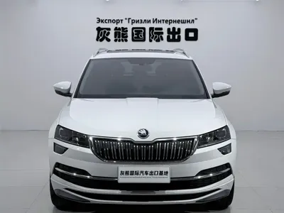Skoda Karoq 2023, 33000 км, за 18018.02 USD