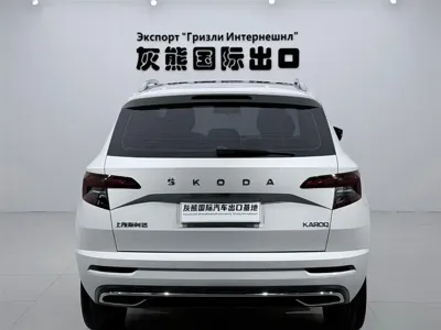 Skoda Karoq 2023, 33000 км, за 18018.02 USD