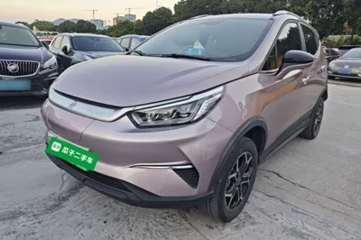BYD Yuan Pro · 2023 год