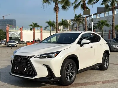 Lexus NX · 2023 год