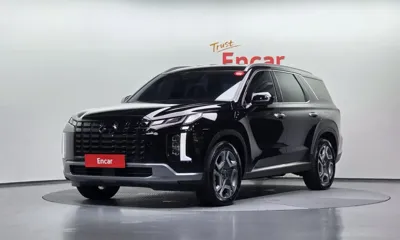 Hyundai Palisade · 2024 год