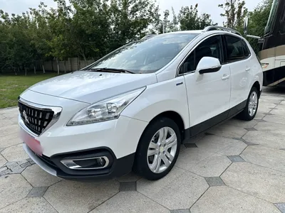 Peugeot 3008 · 2019 год