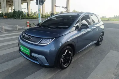 BYD Dolphin · 2025 год
