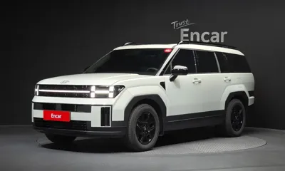 Hyundai Santafe · 2025 год