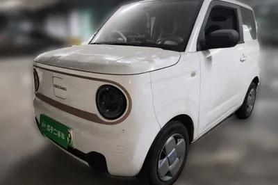 Geely Galaxy Panda · 2024 год