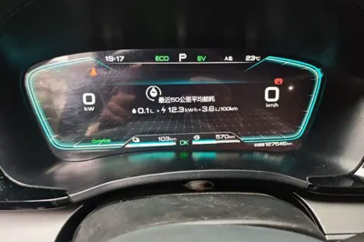 BYD Song PLUS New Energy 2021, 127500 км, за 10089 USD - фото 11