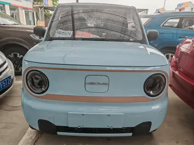 Galaxy Panda 2024, 29000 км, за 4255.07 USD