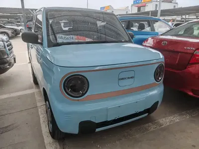 Galaxy Panda 2024, 29000 км, за 4255.07 USD