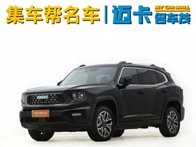 Haval 哈弗大狗 PLUS 新能源 · 2024 год