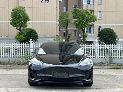 Tesla Model 3 2020, 119000 км, за 13949.11 USD