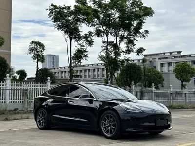 Tesla Model 3 2020, 119000 км, за 13949.11 USD